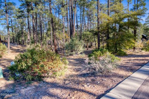 1825 S Pleasant View Dr, Show Low, AZ, 85901-0276 | Card Image