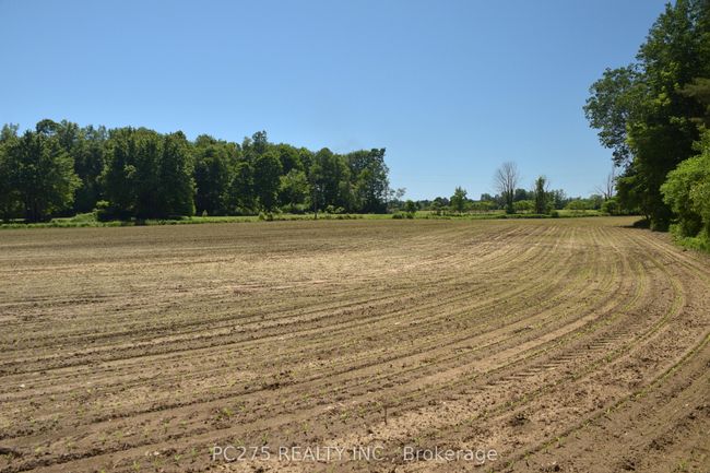 54067 Mcquiggan Line, Home with 0 bedrooms, 0 bathrooms and null parking in Bayham ON | Image 5