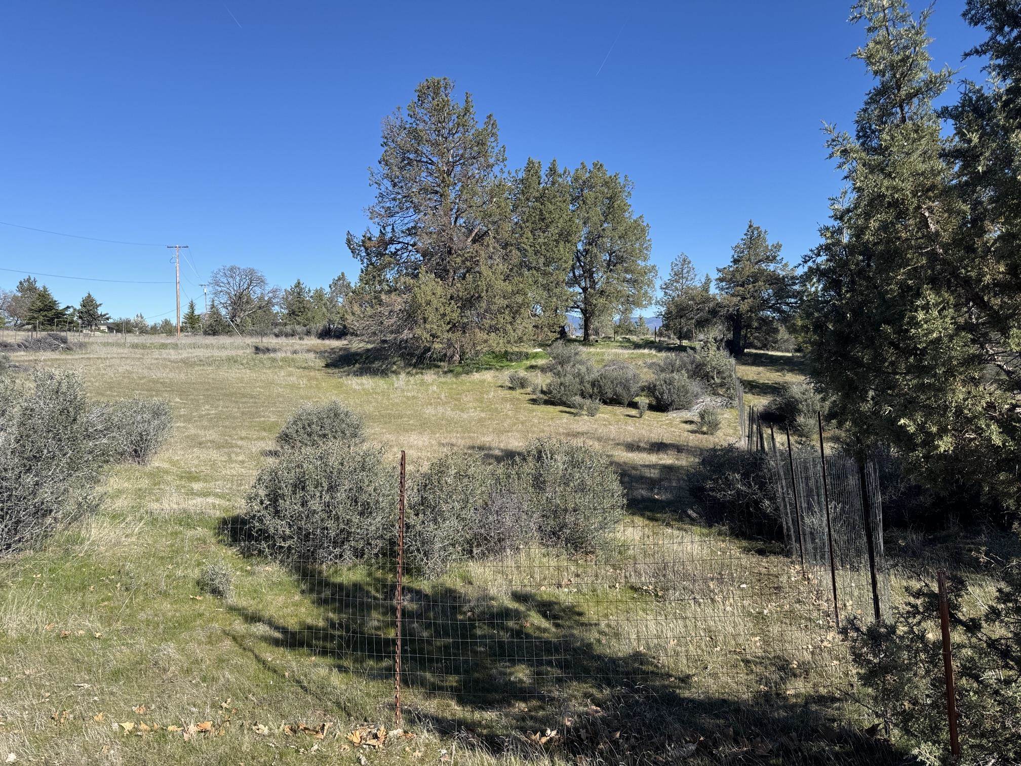 Land in Hornbrook 2