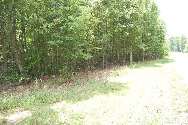 10 Laurel Brook Rd, Home with 0 bedrooms, 0 bathrooms and null parking in Dunlap TN | Image 17