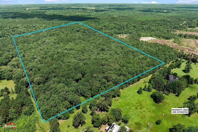 TRACT-3 - TBD Pr 1335, Home with 0 bedrooms, 0 bathrooms and null parking in Marshall TX | Image 7