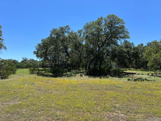 2071 Rolling River Vw, House other with 3 bedrooms, 2 bathrooms and null parking in Spring Branch TX | Image 8