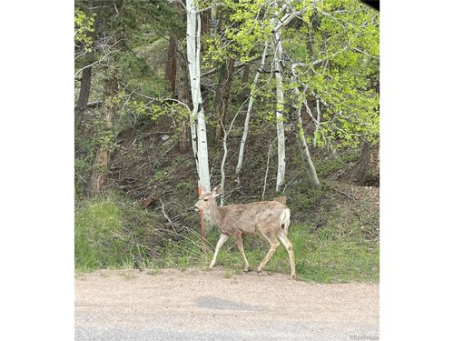 30862 Pike View Dr, Conifer, CO, 80433-7525 | Card Image