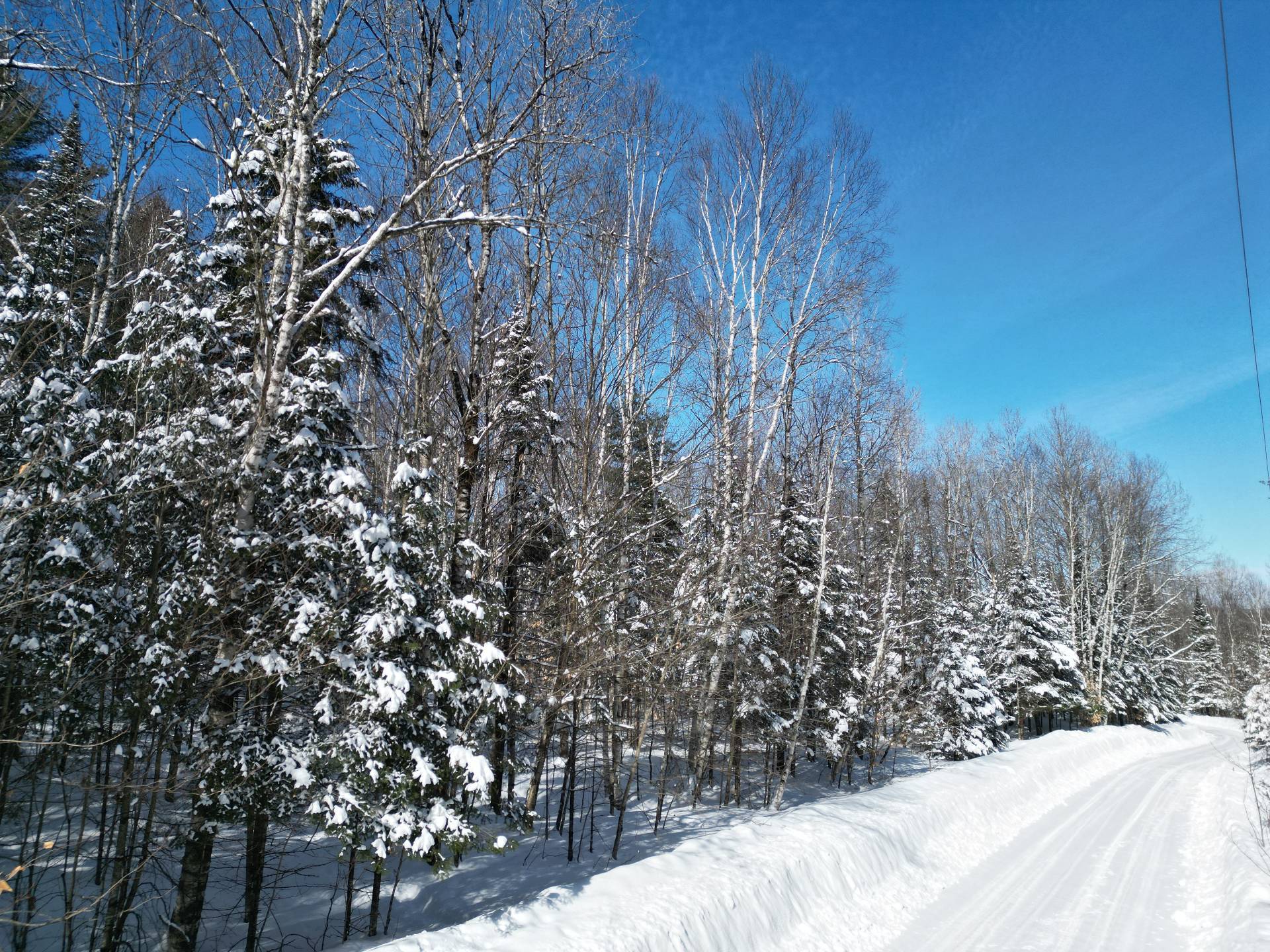 Land in Harrington 4