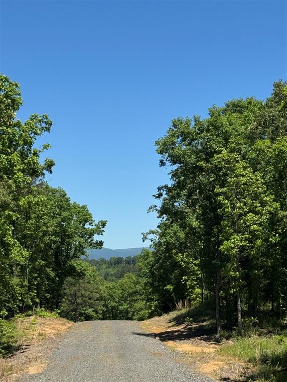 Land in Watson 4