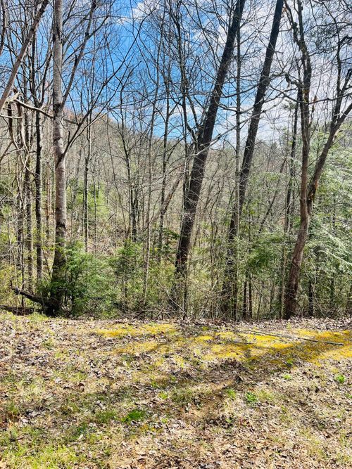 3 Sassafras Trail, Sevierville, TN, 37876 | Card Image