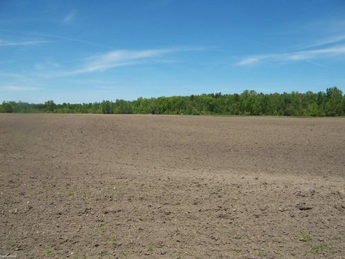 Lot 7 Lapeer Rd Road, Kimball Township, MI, 48074 | Card Image