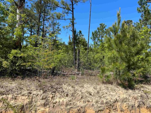 TBD Preserver Rd, NEESES, SC, 29107 | Card Image