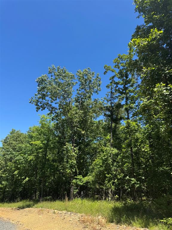 Land in Watson 4