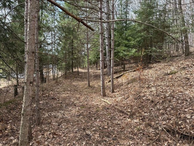 1300 Park Hill Drive, House other with 3 bedrooms, 2 bathrooms and null parking in GRESHAM WI | Image 45