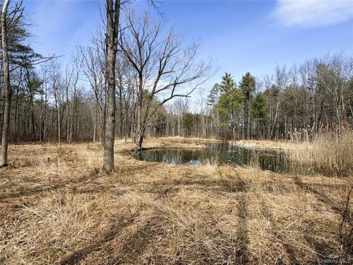 TBD Frank Hitchcock Road, Cairo, NY, 12413 | Card Image