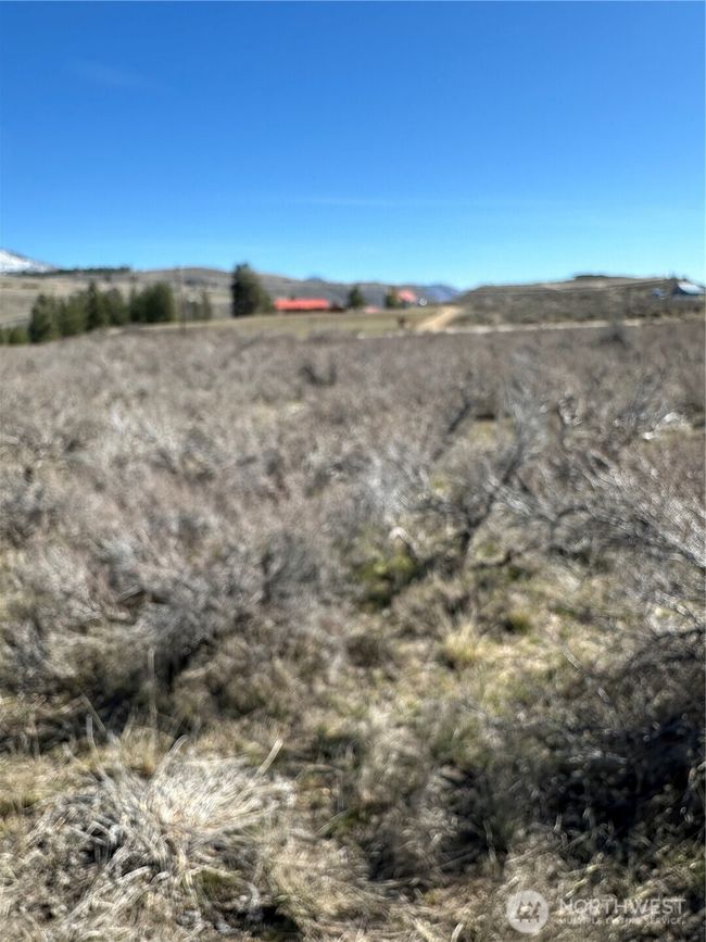81 W Chewuch Rd, Home with 0 bedrooms, 0 bathrooms and null parking in Winthrop WA | Image 22