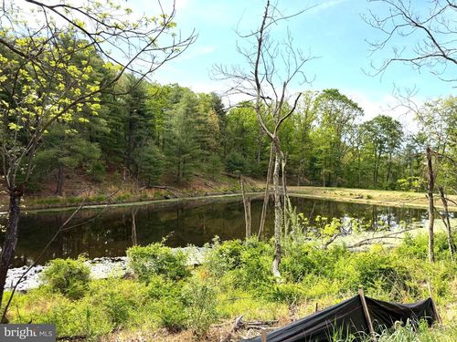 Lot 1 Crested Mountain Lane, CROSS JUNCTION, VA, 22625 | Card Image