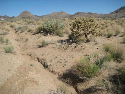 000 Redwing Canyon Rd, Kingman, AZ, 86409 | Card Image