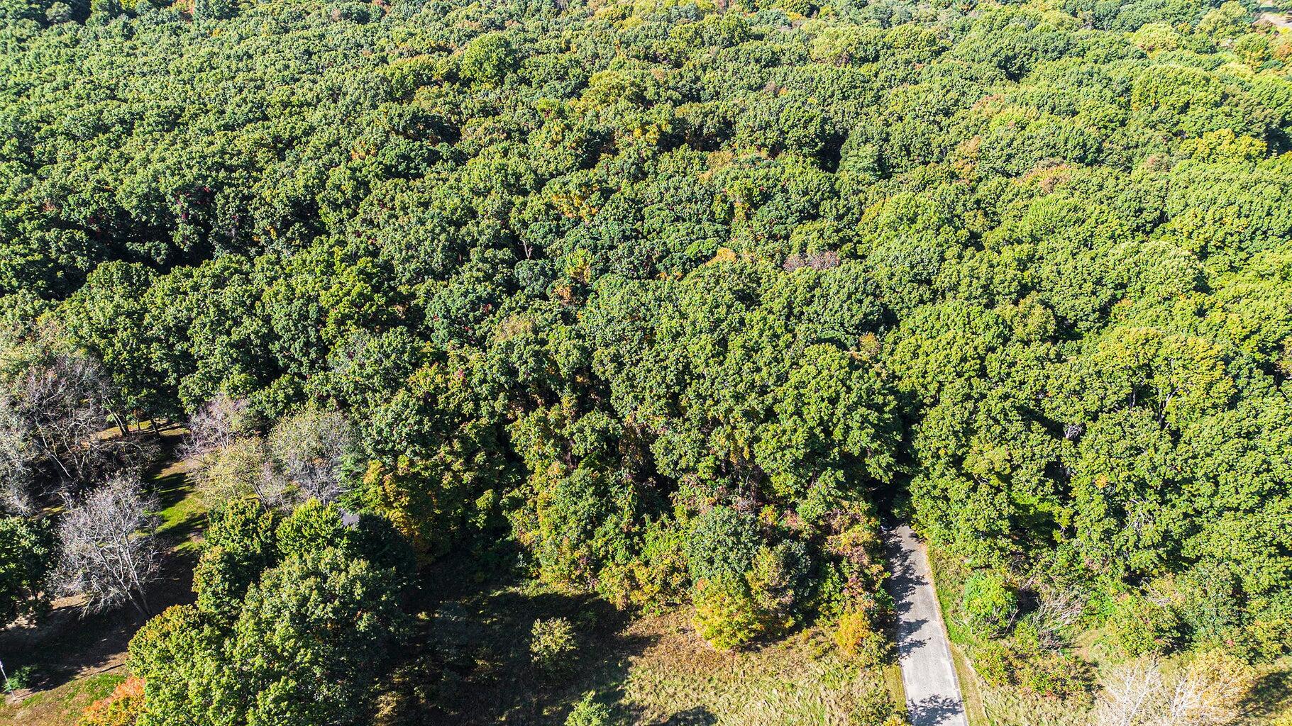 Land in Benton Harbor 5