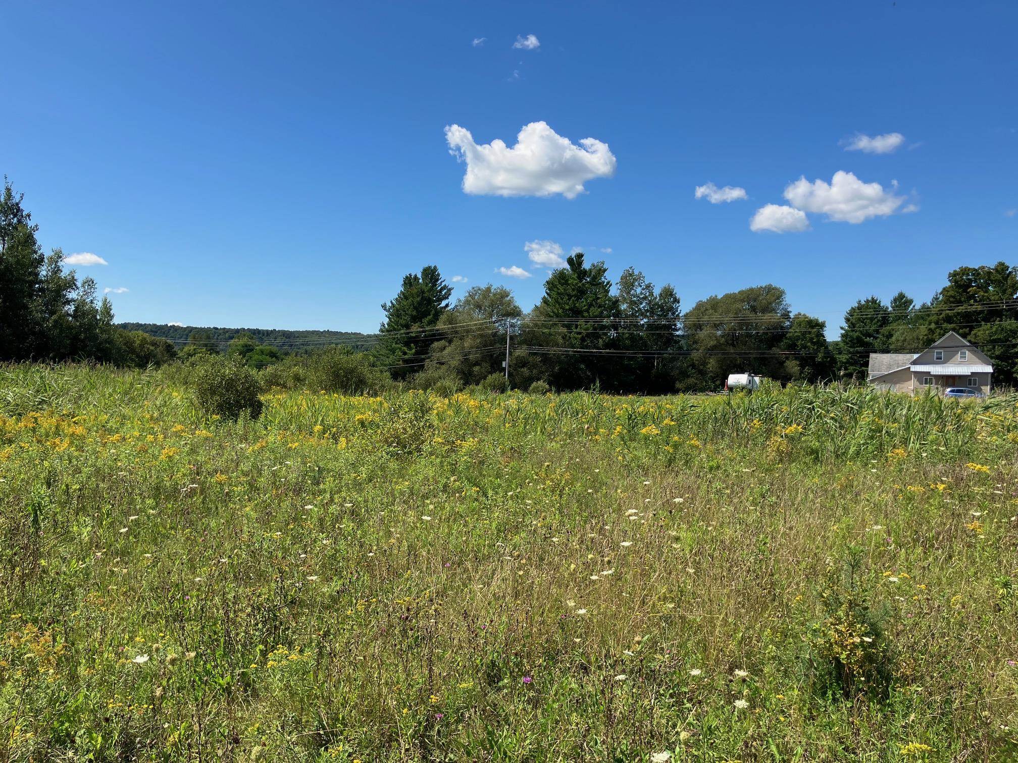 Land in Richford