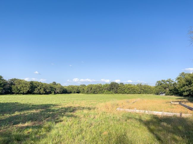View of yard with a view of rural / pastoral area and a view of trees | Image 36