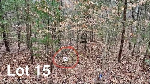 Lot 15 Woods Haven Ln, Stuart, VA, 24171-5173 | Card Image