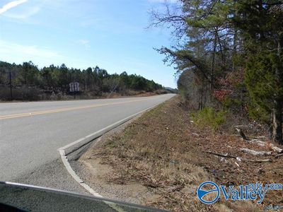 Tract 1 County Road 41, Home with 0 bedrooms, 0 bathrooms and null parking in Gaylesville AL | Image 2