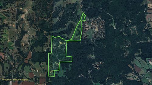 0 Old Paris Murray Rd, Puryear, TN, 38251 | Card Image