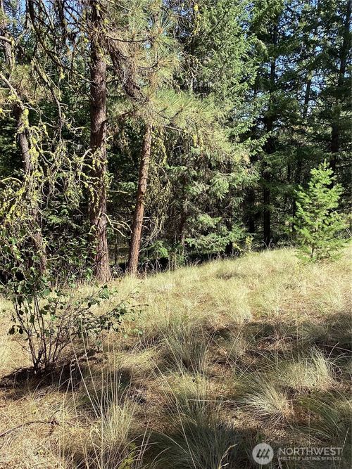 141 Owl Rd, Tonasket, WA, 98855 | Card Image