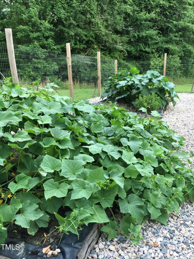 Garden | Image 47