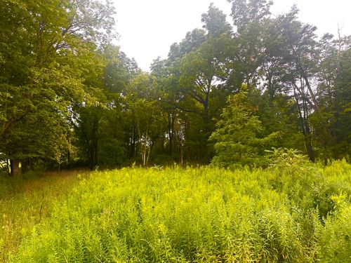 5621 Crane Rd, Edinboro, PA, 16412 | Card Image