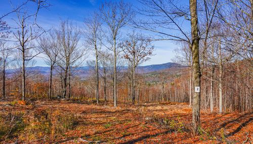 2 Mine Road, Stoneham, ME, 04231 | Card Image