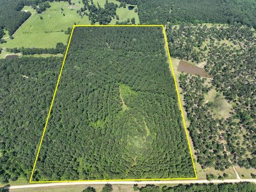 3 Fodice 2 Rd, Groveton, TX, 75845 | Card Image