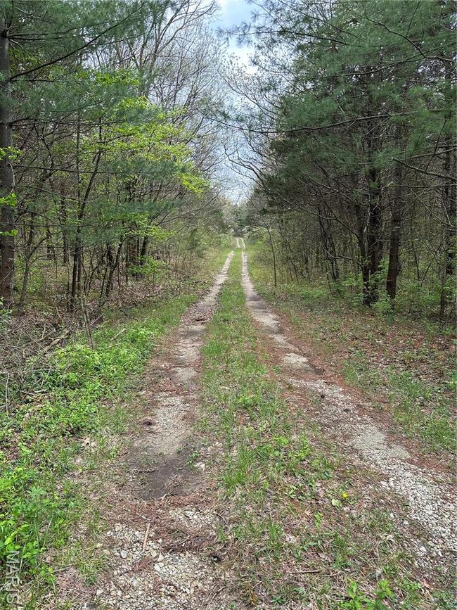 0 Butcher Branch Rd, Home with 0 bedrooms, 0 bathrooms and null parking in Hillsboro MO | Image 13