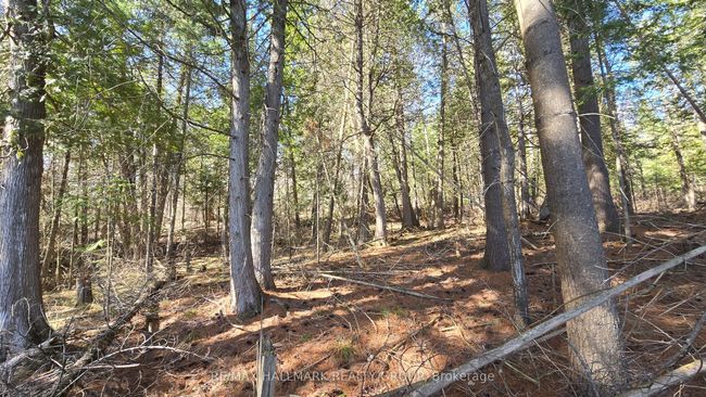 0000 Calabogie Rd, Home with 0 bedrooms, 0 bathrooms and null parking in Burnstown ON | Image 12