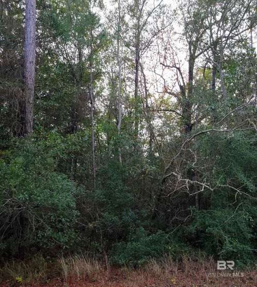 00 Us Highway 98, Elberta, AL, 36530 | Card Image