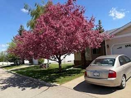 115 Macewan Park Hts Nw, Calgary, AB, T3K3W6 | Card Image