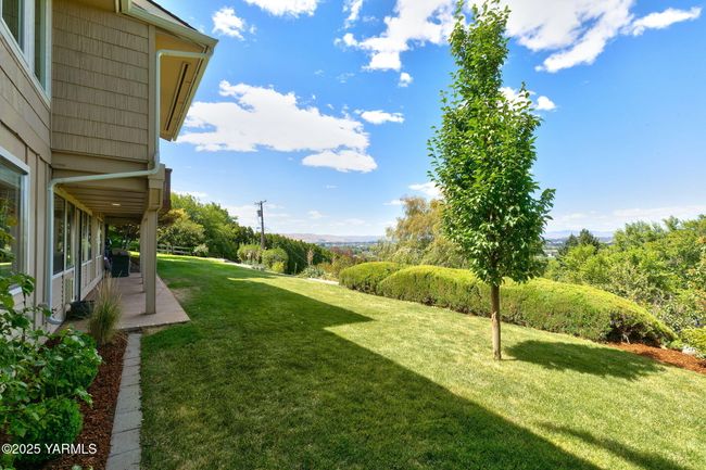 Back Yard | Image 37
