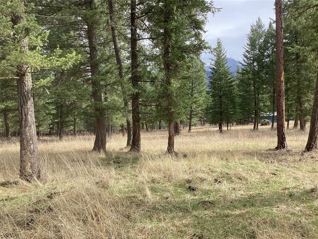 1 Eagle Pass Road, Home with 0 bedrooms, 0 bathrooms and null parking in Charlo MT | Image 15