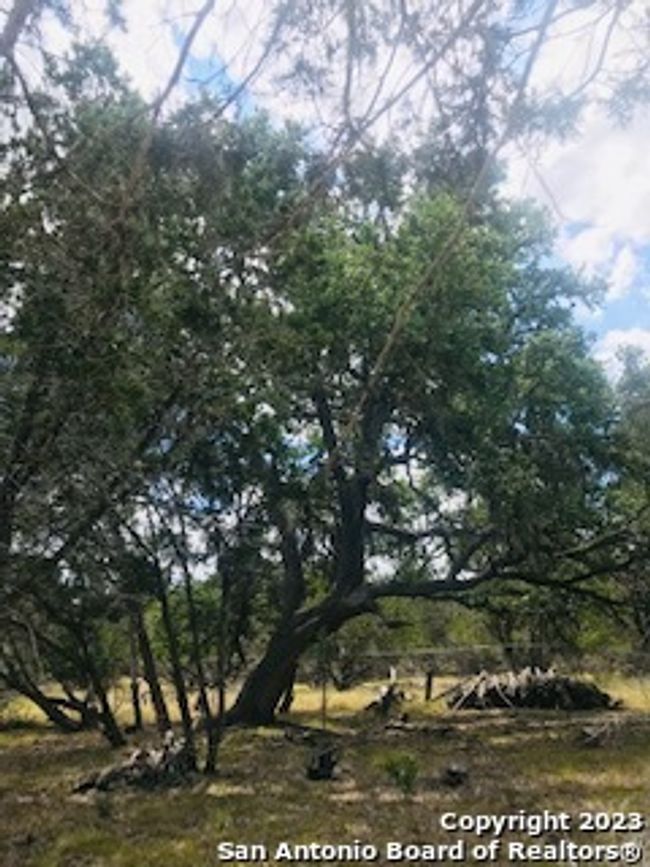 26 Mustang Crossing Dr, Home with 0 bedrooms, 0 bathrooms and null parking in Pipe Creek TX | Image 14