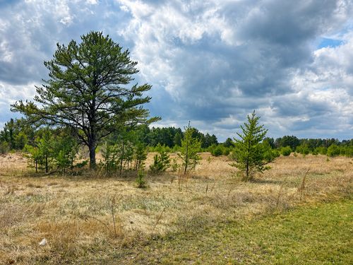 TBD 8th Street W, Park Rapids, MN, 56470 | Card Image