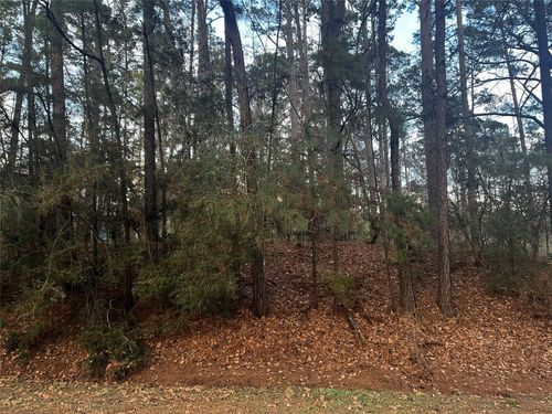 26 Sunny Hill Dr, Coldspring, TX, 77331-3224 | Card Image