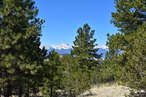 TBD Foxtail Rd, Westcliffe, CO, 81252 | Card Image