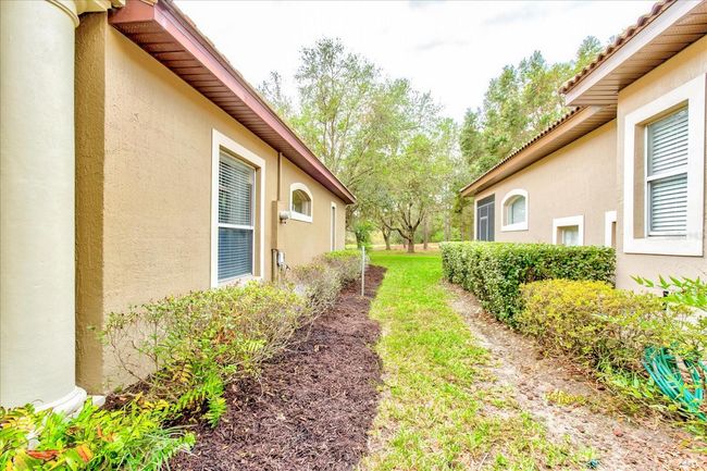 Side yard | Image 49