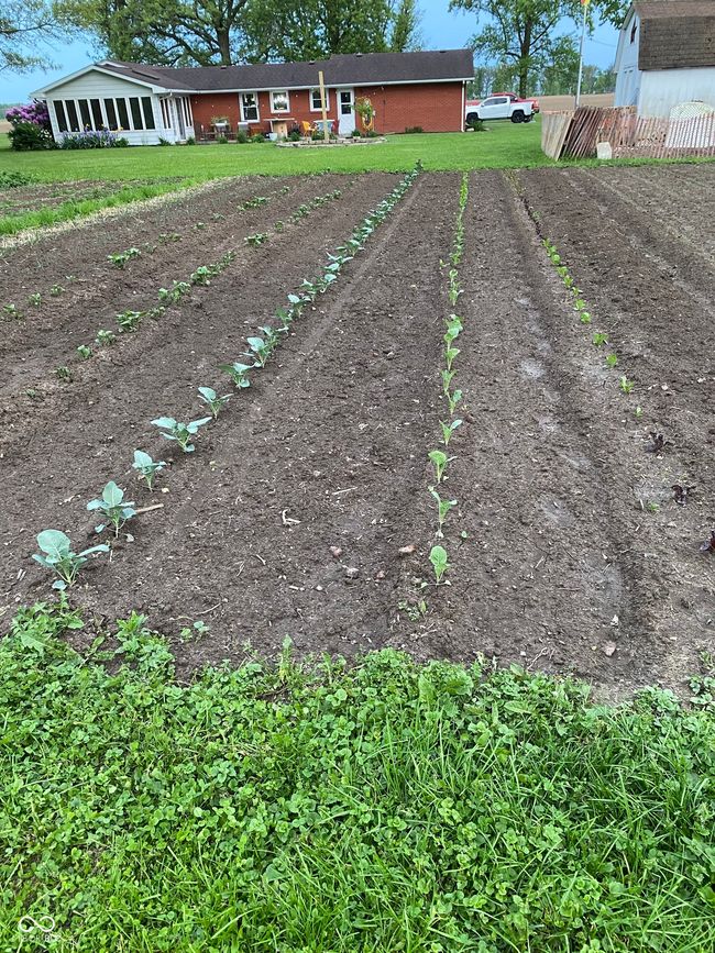 view of yard featuring a rural view | Image 46