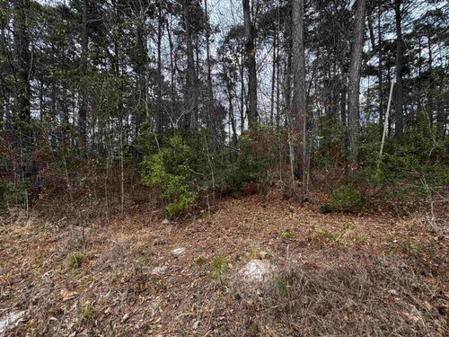 TBD Dogwood Trl, Harleton, TX, 75651 | Card Image