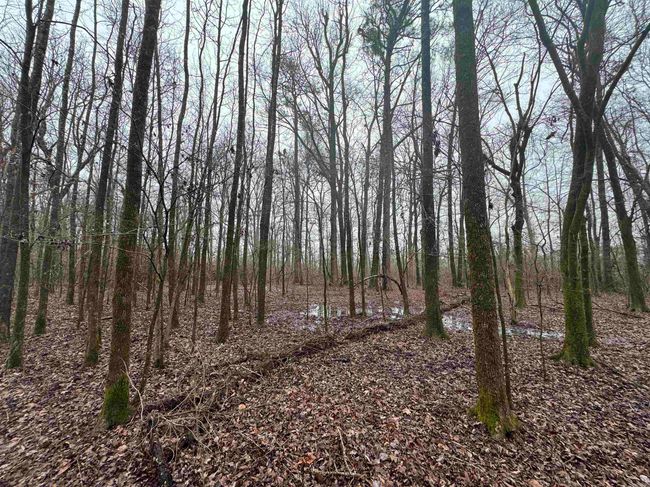 000 Ashley Road 912, Home with 0 bedrooms, 0 bathrooms and null parking in Hamburg AR | Image 32