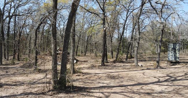 View of nature | Image 8