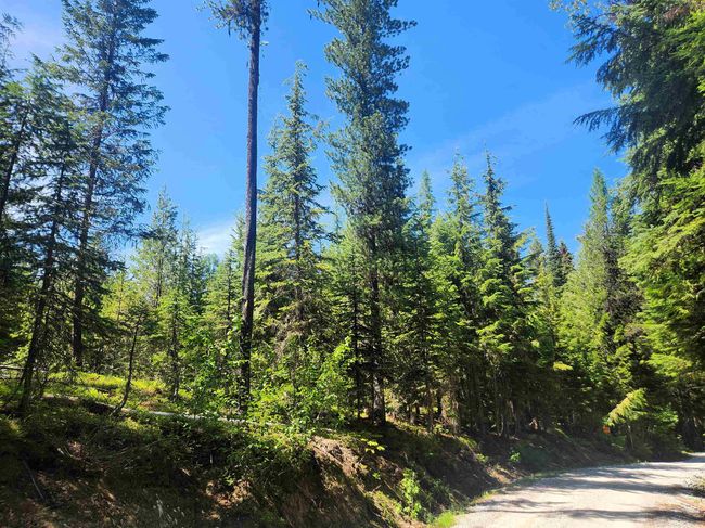 7450 Ruby Creek Rd, Home with 0 bedrooms, 0 bathrooms and null parking in Cusick WA | Image 10