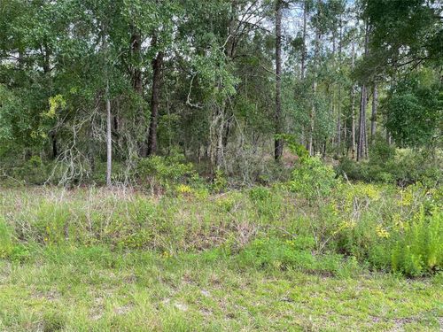 LOT 3 E Falcon Ln, DUNNELLON, FL, 34434 | Card Image