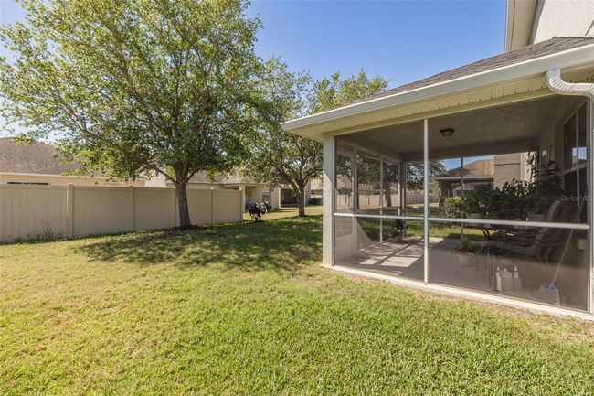 20215 Natures Spirit Dr, House other with 4 bedrooms, 3 bathrooms and null parking in TAMPA FL | Image 35