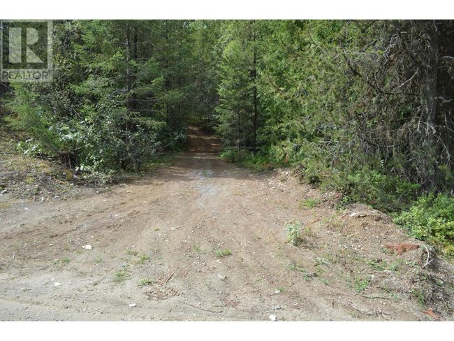 Lot 2 3 Rd St, Home with 0 bedrooms, 0 bathrooms and null parking in Kootenay Boundary BC | Image 8