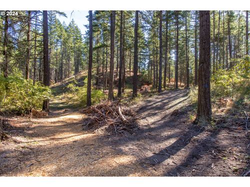 3- Paradise Ridge, Mosier, OR, 97040 | Card Image