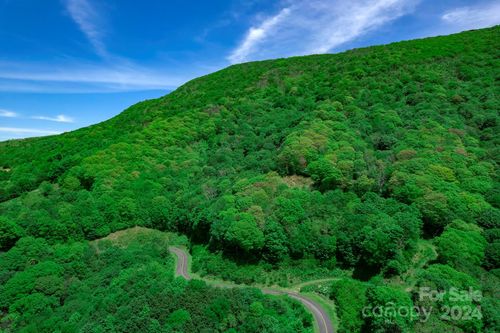 C202 Buffalo Nvno, Trade, TN, 37691 | Card Image